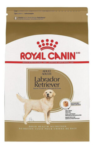 Royal Canin Breed Health Nutrition Labrador Retriever Perro Adulto x 12 kg